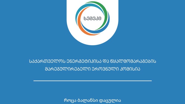 სემეკმა 2024 წლის საქმიანობის ანგარიში გამოაქვეყნა