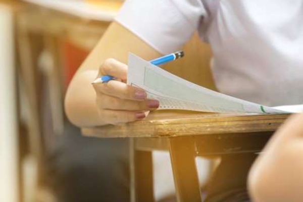 საჯარო სკოლების მე-11 კლასი პროფილური გახდება