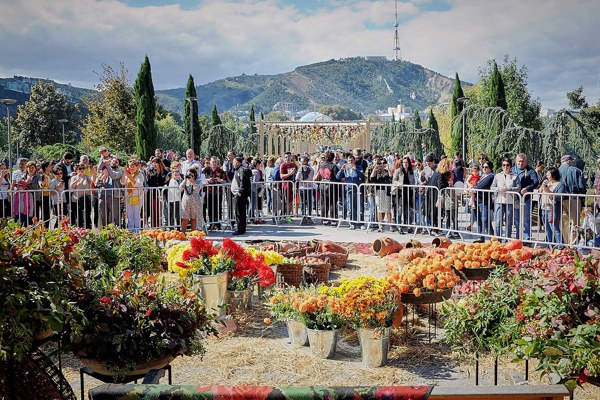 თბილისობა 3-4 ოქტომბერს გაიმართება - რა იგეგმება?