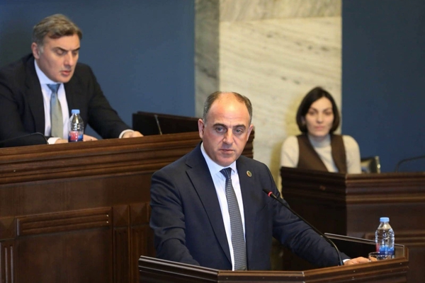 დავით ნარმანია პარლამენტში ენერგეტიკისა და წყალმომარაგების სექტორებში მომხმარებელთა უფლებების დაცვის შესახებ მოხსენებით წარდგა