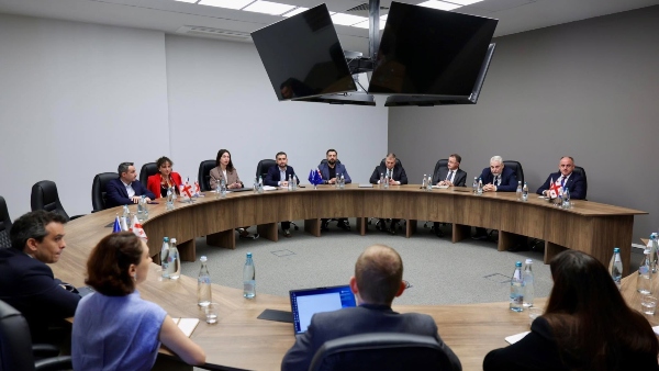დავით ნარმანია მსოფლიო ბანკის ESPIRE მისიის წარმომადგენლებს შეხვდა