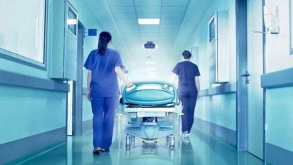 საშიშია „ნიპას“ ვირუსი საქართველოსთვის?