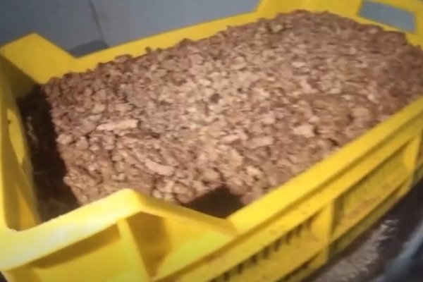 ფალსიფიცირებული თევზის კონსერვის დამზადება-გასაღების ფაქტზე საწარმოს ხელმძღვანელი დააკავეს