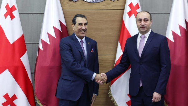 გეკა გელაძე კატარის სახელმწიფოს ახალდანიშნულ ელჩს შეხვდა