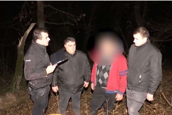 კახეთის პოლიციამ მერქნიანი მცენარის უკანონო გაჩეხის ბრალდებით ერთი პირი დააკავა