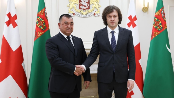 პრემიერ-მინისტრი თურქმენეთის მინისტრთა კაბინეტის თავმჯდომარის მოადგილეს შეხვდა