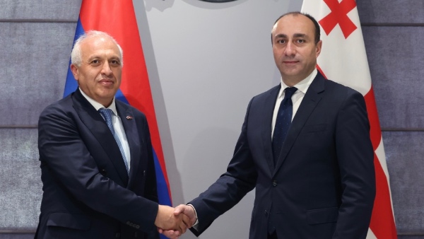 შს მინისტრმა საქართველოში სომხეთის რესპუბლიკის საგანგებო და სრულუფლებიან ელჩთან შეხვედრა გამართა