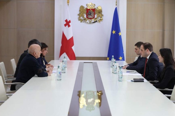 საქართველოს მთავრობის ადმინისტრაციის უფროსი წმინდა საყდრის დესპანს შეხვდა