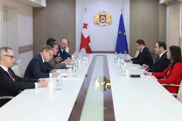 საქართველოს მთავრობის ადმინისტრაციის უფროსი ლევან ჟორჟოლიანი „ვაიმარის სამკუთხედის“ ქვეყნების საგარეო საქმეთა სამინისტროების დელეგაციას შეხვდა