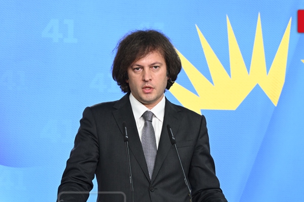 მნიშვნელოვანი იყო, პარტიის წევრებს ბიძინა ივანიშვილისგან მოესმინათ კონკრეტული საკითხების მიმართ მისი დამოკიდებულება - პრემიერი