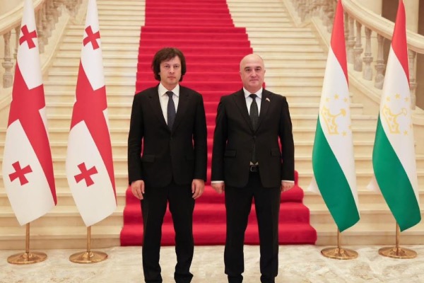 ირაკლი კობახიძე ტაჯიკეთის უმაღლესი კრების წარმომადგენელთა პალატის თავმჯდომარეს შეხვდა