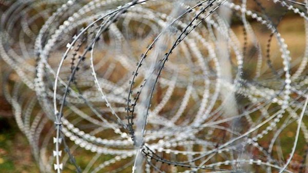 ოკუპირებულ სოფელ წინაგარას მიმდებარედ უკანონოდ დაკავებული საქართველოს მოქალაქე თავისუფალია - სუს-ი 