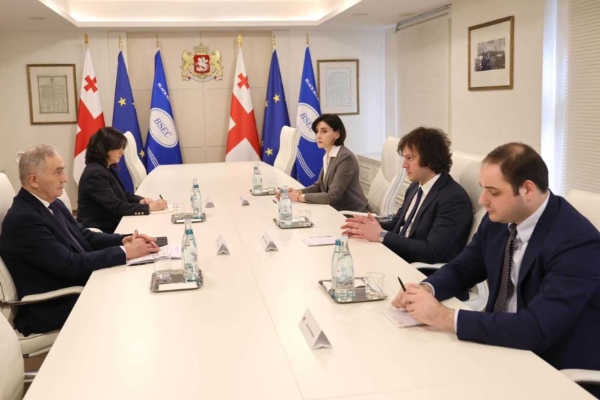 პრემიერი შავი ზღვის ეკონომიკური თანამშრომლობის ორგანიზაციის გენერალურ მდივანს, ლაზარ კომანესკუს შეხვდა