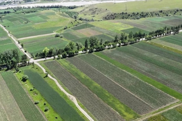 მიწის სისტემური რეგისტრაციის უფასო პროგრამა დასრულდა - მომსახურება ფასიანი გახდა