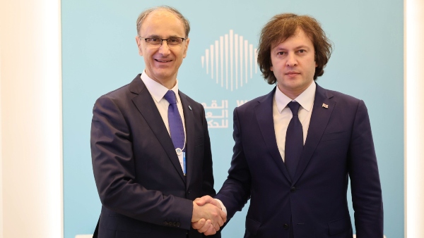 ირაკლი კობახიძე სერბეთის რესპუბლიკის პრემიერ-მინისტრ დურო მაცუტს შეხვდა